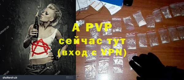 стаф Волосово
