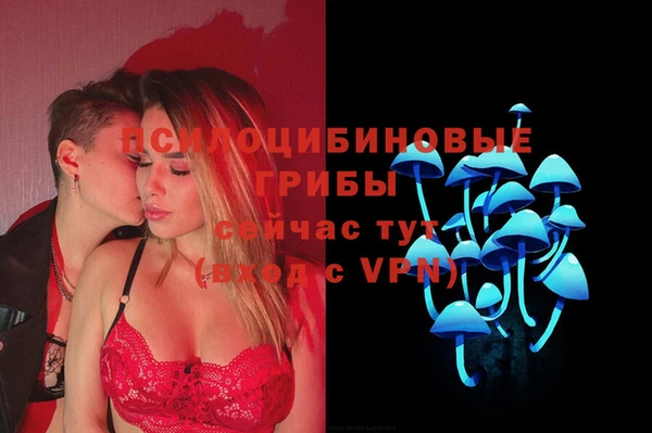 стаф Волосово