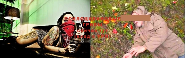 стаф Волосово