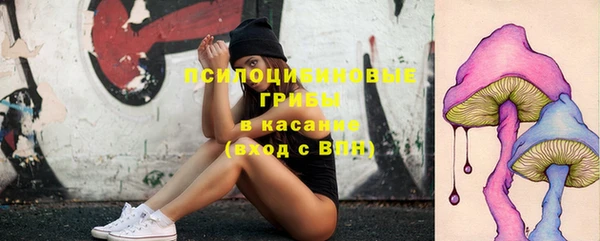 ALPHA PVP Вяземский