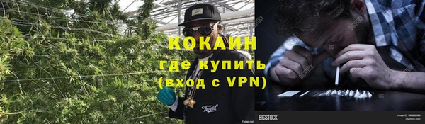 ALPHA PVP Вяземский