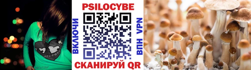 Псилоцибиновые грибы прущие грибы Дубна
