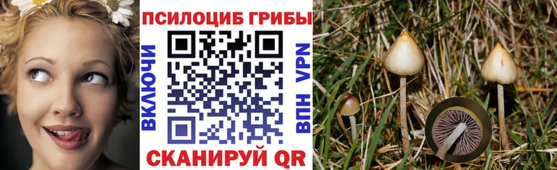 Псилоцибиновые грибы Cubensis  купить наркотик  Дубна 